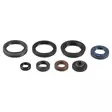 Athena Öljytiivistesarja, Suzuki Rm-Z 250 07-15 - MÖNKIJÄN OSAT - 421-510-400050 - 1