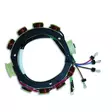 Cdi Elec. Yamaha Stator, 4 Cyl. - STAATTORIT - 113-177-6E5-10 - 1