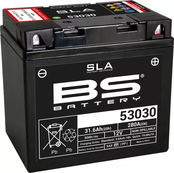 Bs Battery 53030 (Fa) Sla - Sealed & Activated - AKUT - 140-300880 - 1