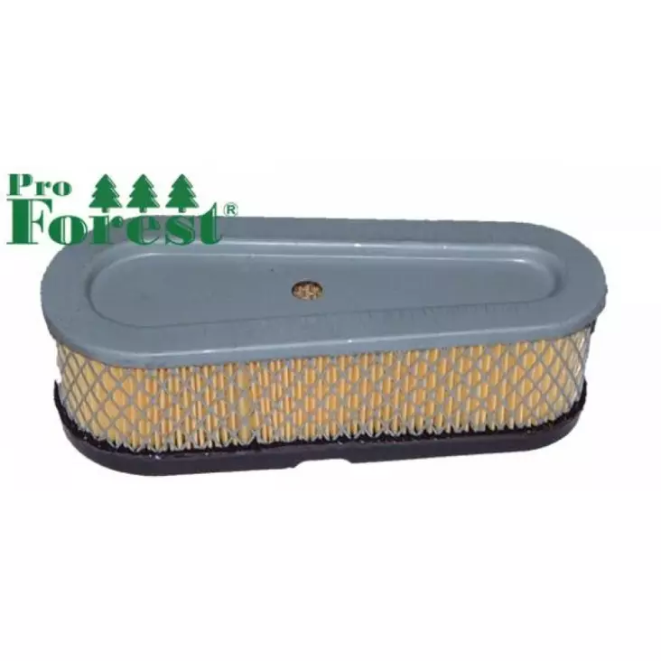 Ilmansuodatin Briggs & Stratton 493910 - ILMANSUODATTIMET - 71-090 - 1