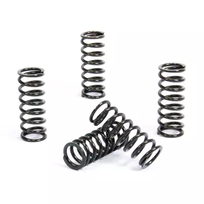Prox Kytkimen Jousisarja Kx450f 06-13 + Rm125 92-00 - MÖNKIJÄN KYTKIMEN JOUSET - 400-17-CS44020 - 1