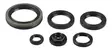 Athena Öljytiivistesarja, Suzuki Rm 250 96-02 - MÖNKIJÄN OSAT - 421-510-400241 - 1