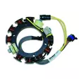 Cdi Elec. Johnson Evinrude Optical Stator - 6 Cyl. (35 Amp) - STAATTORIT - 113-173-4981 - 1