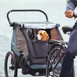 Koirakärryvarustesarja thule courier dog trailer kit - LASTENKULJETUSPERÄKÄRRYT - 20301001 - 4
