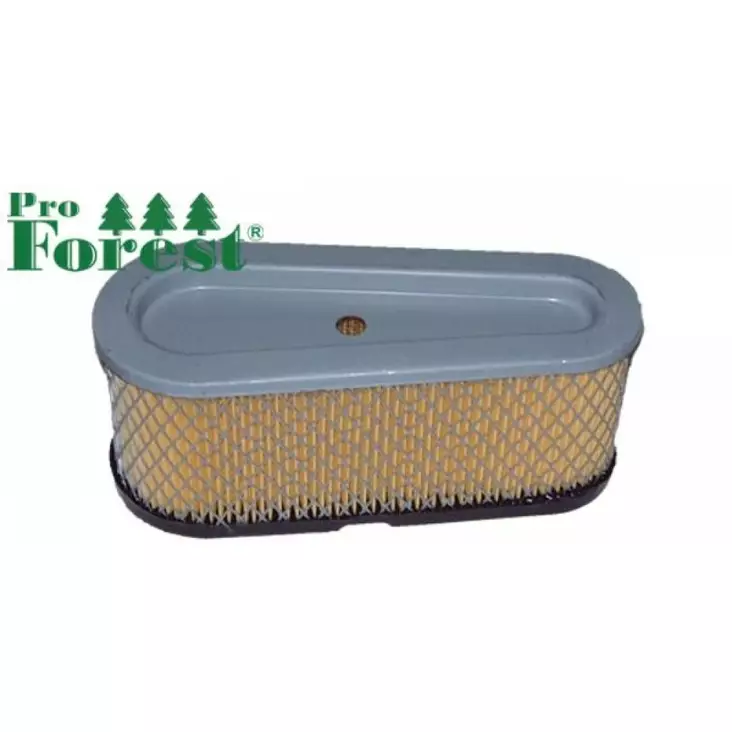 Ilmansuodatin Briggs & Stratton 496894 - ILMANSUODATTIMET - 71-071 - 1