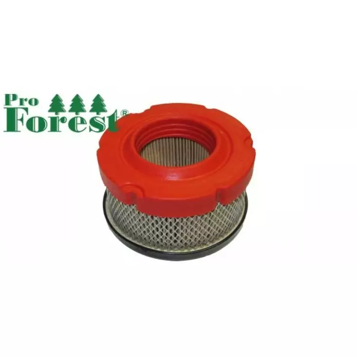 Ilmansuodatin Briggs & Stratton 797819 - ILMANSUODATTIMET - 71-051 - 1