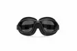Ajolasit Bertoni AF113A Antifog - MP AJOLASIT - 676-113002 - 2