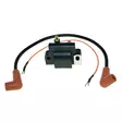 Cdi Elec. Johnson Evinrude Ignition Coil - SYTYTYSPUOLAT - 113-183-4632 - 2