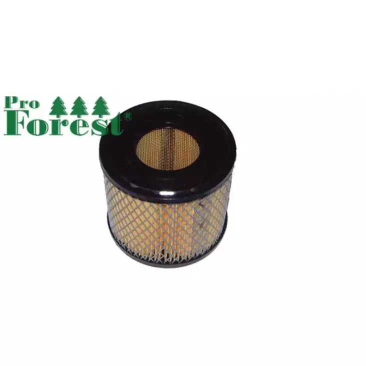 Ilmansuodatin Briggs & Stratton 393957 - ILMANSUODATTIMET - 71-012 - 1