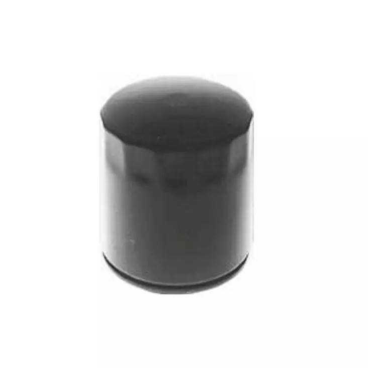 Öljynsuodatin Honda Gxv520, Gxv530 - ÖLJYNSUODATTIMET - 72-382 - 1