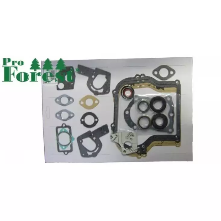 Tiivistesarja Briggs & Stratton 495603 (Sis. Stefat) - TIIVISTEET B&S - 93-003 - 1