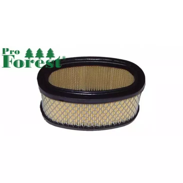 Ilmansuodatin Briggs & Stratton 393725 - ILMANSUODATTIMET - 71-034 - 1