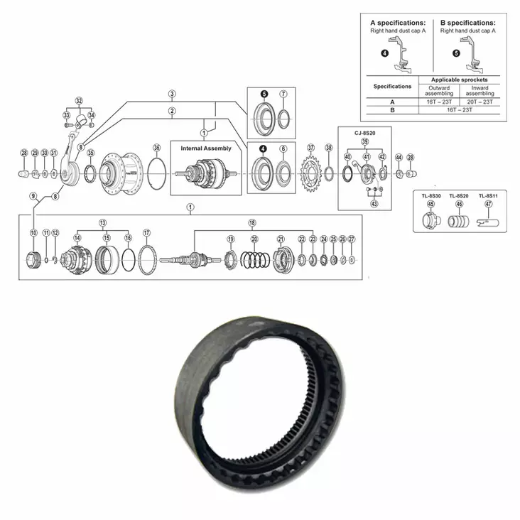 Shimano Nexus 8-V (Sg-8c31), Hammasrengas - TAKANAVAN OSAT - 64404 - 1