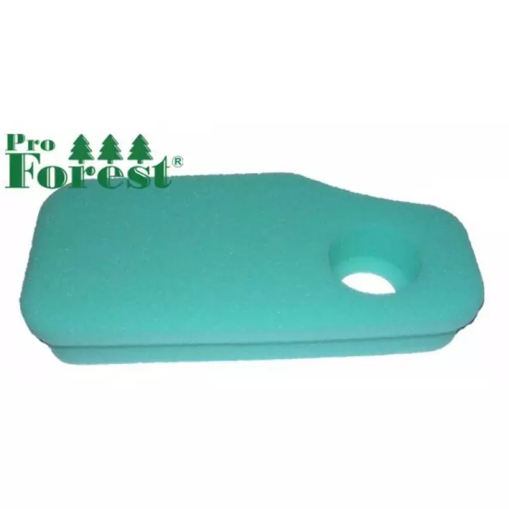 Ilmansuodatin Briggs & Stratton 270843 - ILMANSUODATTIMET - 71-015 - 1