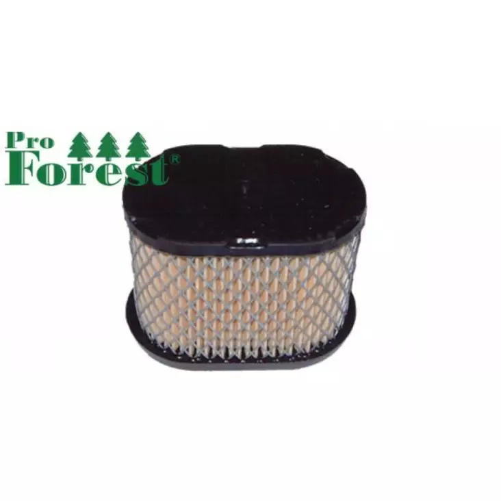 Ilmansuodatin Briggs & Stratton 697029 - ILMANSUODATTIMET - 71-085 - 1