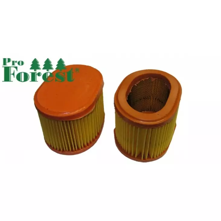 Ilmansuodatin Briggs & Stratton 790166 - ILMANSUODATTIMET - 71-075 - 1