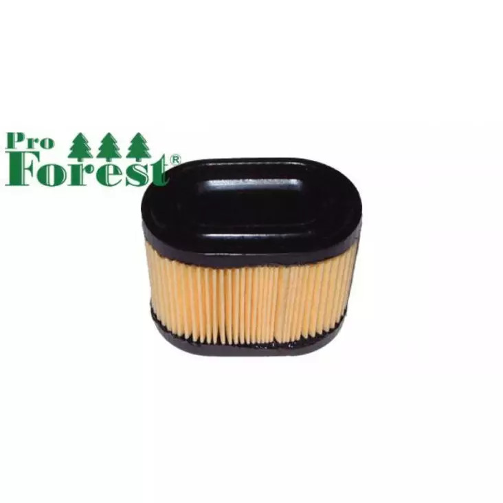 Ilmansuodatin Tecumseh Centura - ILMANSUODATTIMET - 71-705 - 1