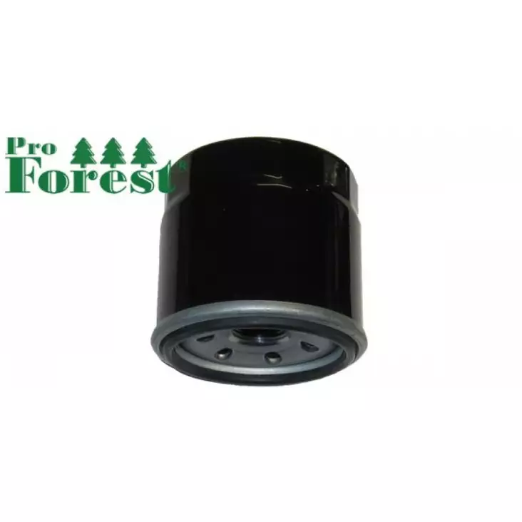 Öljynsuodatin Loncin 1p88f-1, 1p92f-1 - ÖLJYNSUODATTIMET - 72-365 - 1