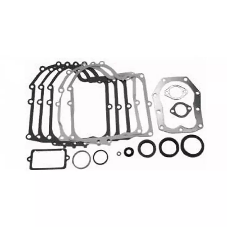 Tiivistesarja Briggs & Stratton 494241 (Sis. Stefat) - TIIVISTEET B&S - 93-015 - 1