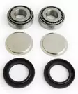 Epi Rear Swing Arm Repair Kit - MÖNKIJÄN TAKAHAARUKAN PUSLASARJAT - 78-347056 - 1