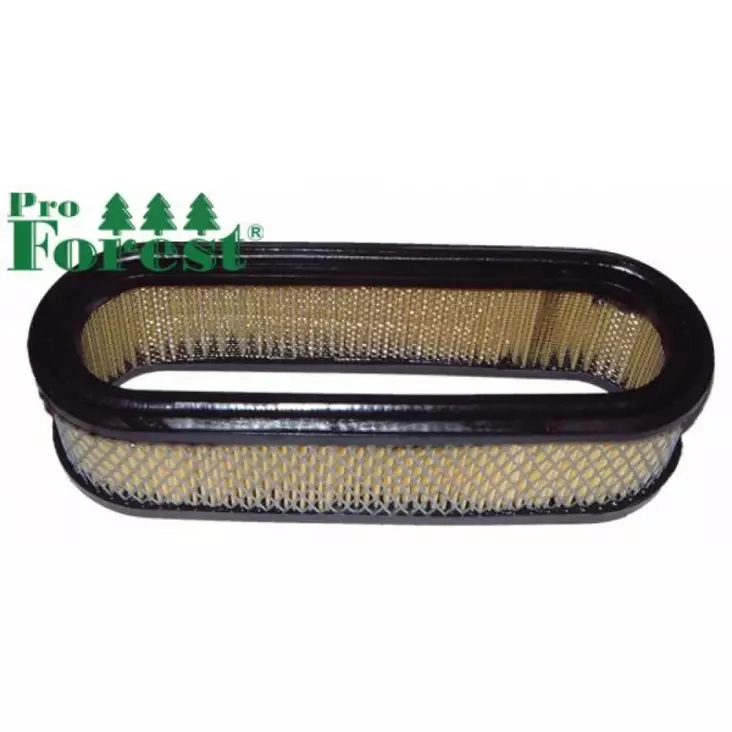 Ilmansuodatin Briggs & Stratton 394019 - ILMANSUODATTIMET - 71-036 - 1