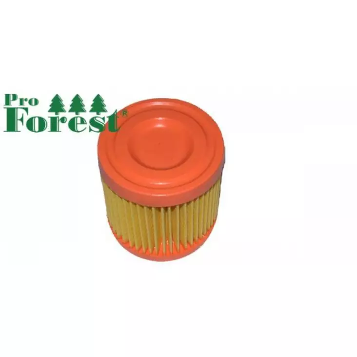 Ilmansuodatin Tecumseh Bvl, Bh - ILMANSUODATTIMET - 71-716 - 1