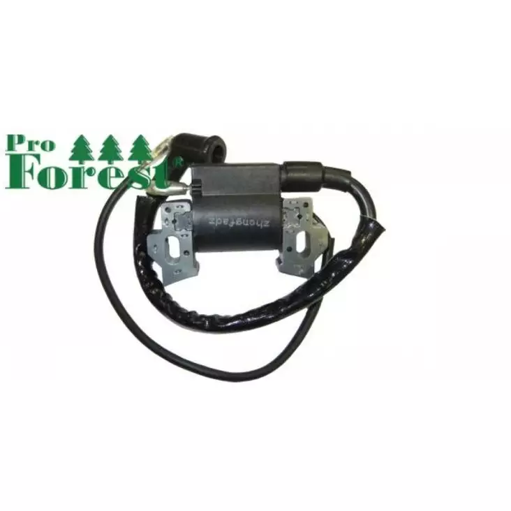 Puola Ggp Rm55, Rm45 (140cc Versio, 2009-2013) - SÄHKÖOSAT - 70-736 - 1