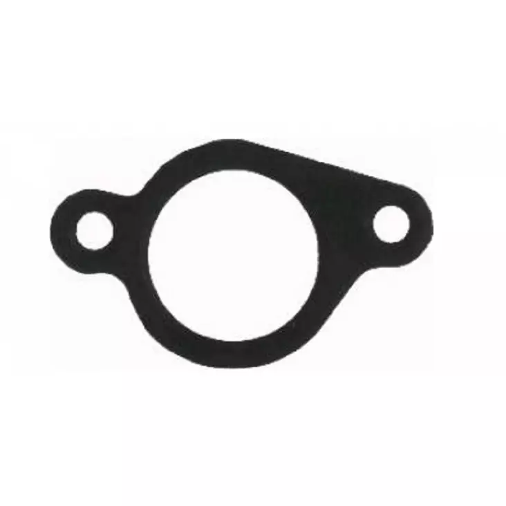 Tiiviste Briggs & Stratton 272199 - TIIVISTEET B&S - 93-086 - 1