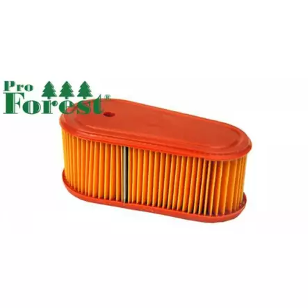 Ilmansuodatin Briggs & Stratton 795066 - ILMANSUODATTIMET - 71-087 - 1