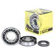 Prox Kampiaks. Laakerit+Stefat Rm-Z250 07-09 - MÖNKIJÄN OSAT - 400-23-CBS33007 - 1
