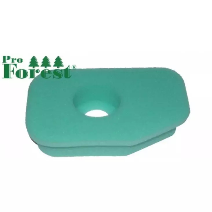 Ilmansuodatin Briggs & Stratton 270251 - ILMANSUODATTIMET - 71-007 - 1