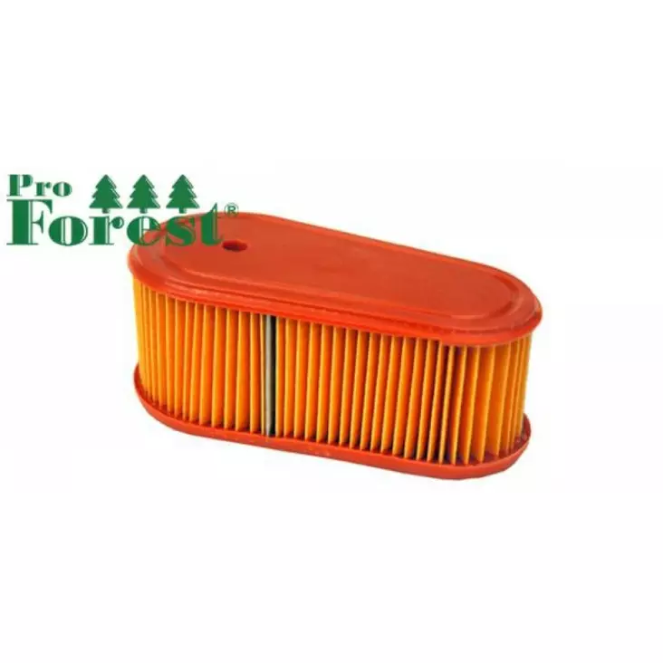 Ilmansuodatin Briggs & Stratton 795066 - ILMANSUODATTIMET - 71-087 - 1