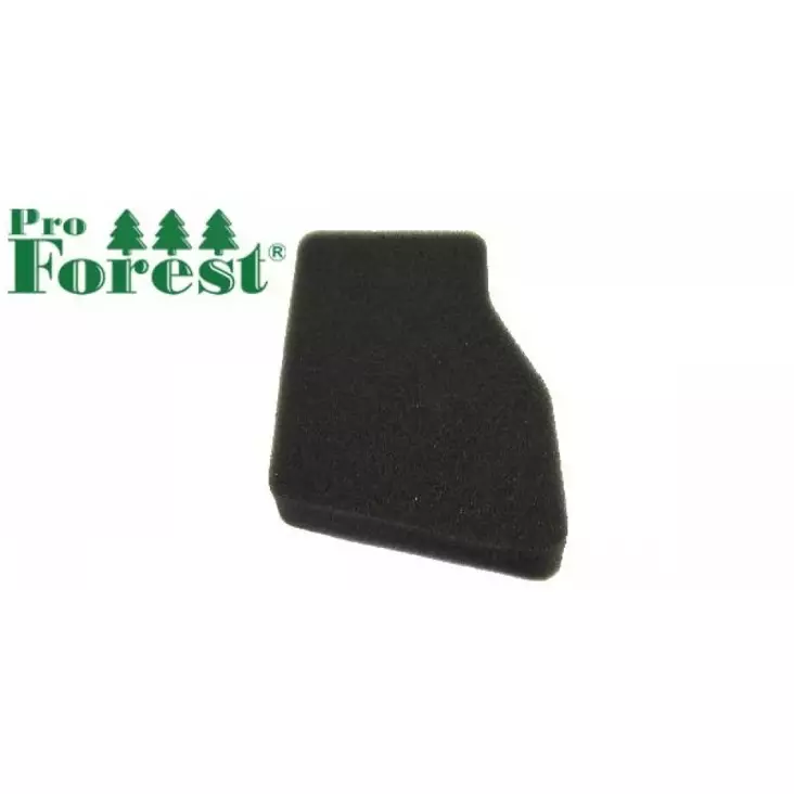 Ilmansuodatin Honda Eu10i - ILMANSUODATTIMET - 71-297 - 1