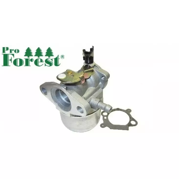 Kaasutin Briggs & Stratton 498965 - KAASUTTIMET - 76-647 - 1