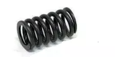 Orbitrade, Valve Spring - MUUT VARAOSAT - 117-4-12737 - 1