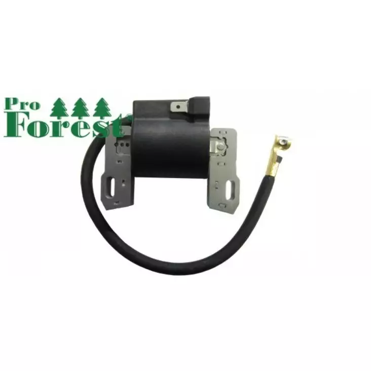 Puola Briggs& Stratton 592846, 799651 - PUOLAT - 70-717 - 1