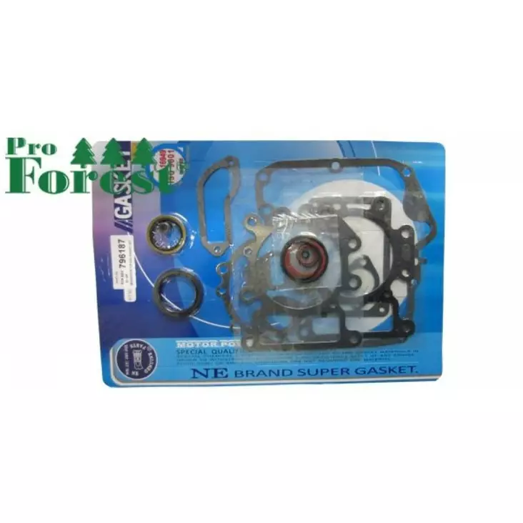 Tiivistesarja Briggs & Stratton 796187 (Sis. Stefat) - TIIVISTEET B&S - 93-017 - 1