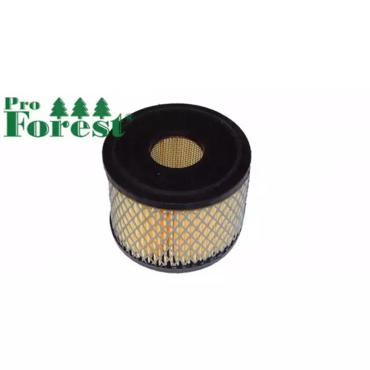 Ilmansuodatin Briggs & Stratton 390492 - ILMANSUODATTIMET - 71-028 - 1