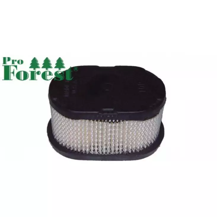 Ilmansuodatin Briggs & Stratton 497725 - ILMANSUODATTIMET - 71-088 - 1