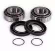 Epi Rear Swing Arm Repair Kit - MÖNKIJÄN OSAT - 78-347039 - 1