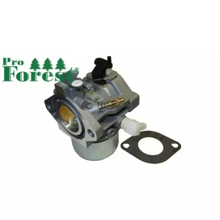 Kaasutin Briggs & Stratton 699831 - KAASUTTIMET - 76-659 - 1