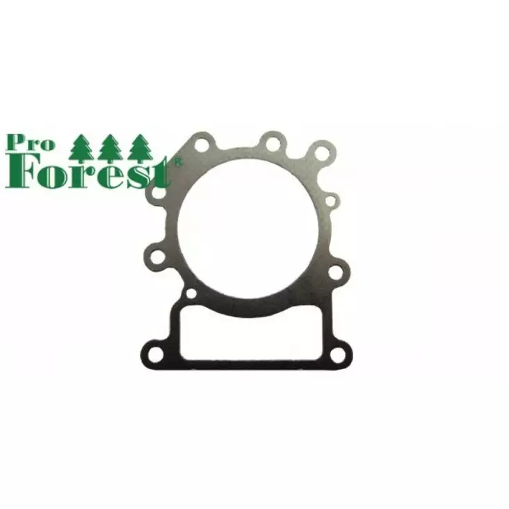 Kansitiiviste Briggs & Stratton 794114 - TIIVISTEET B&S - 93-059 - 1