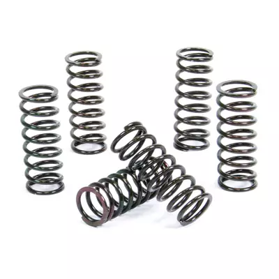 Prox Kytkimen Jousisarja Dr-Z400 00-09 + Lt-Z400 03-11 - MP KYTKINLEVYSARJAT - 400-17-CS44019 - 1
